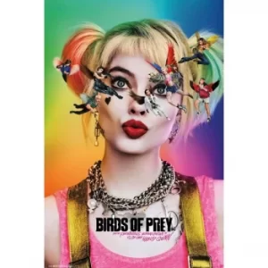 Image of Birds of Prey maxi Poster