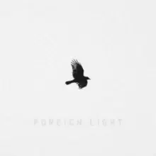 Image of Foreign Light