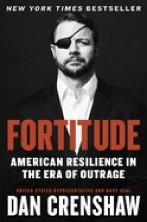 Image of fortitude american resilience in the era of outrage
