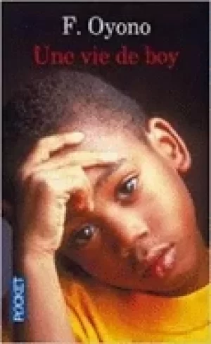 Image of une vie de boy