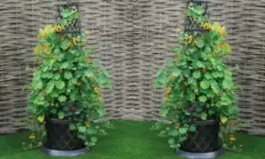 Image of Decorative Tower Pot: One
