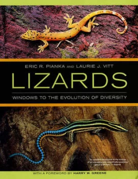 Image of Lizards by Eric R. Pianka Paperback