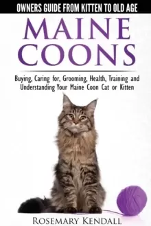 Image of Maine Coon Cats: The Owners Guide from Kitten to Old Age : Buying, Caring For, Grooming, Health, Training, and Understandi Ng Your Maine Coon