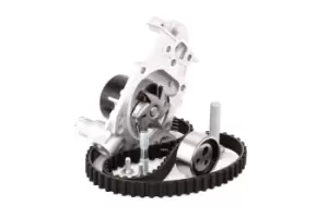 Image of SKF Water Pump + Timing Belt Kit VKMC 06010 RENAULT,TWINGO I (C06_),CLIO II (BB0/1/2_, CB0/1/2_),KANGOO (KC0/1_),KANGOO Express (FC0/1_)