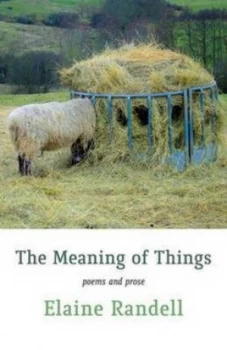 Image of The Meaning of Things by Elaine Randell Book