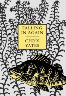 Image of Falling in Again : Tales of an Incorrigible Angler