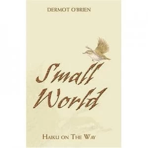 Image of Small World by Dermot Obrien Hardback