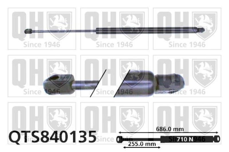 Image of QUINTON HAZELL Tailgate strut QUINTON HAZELL QTS840135