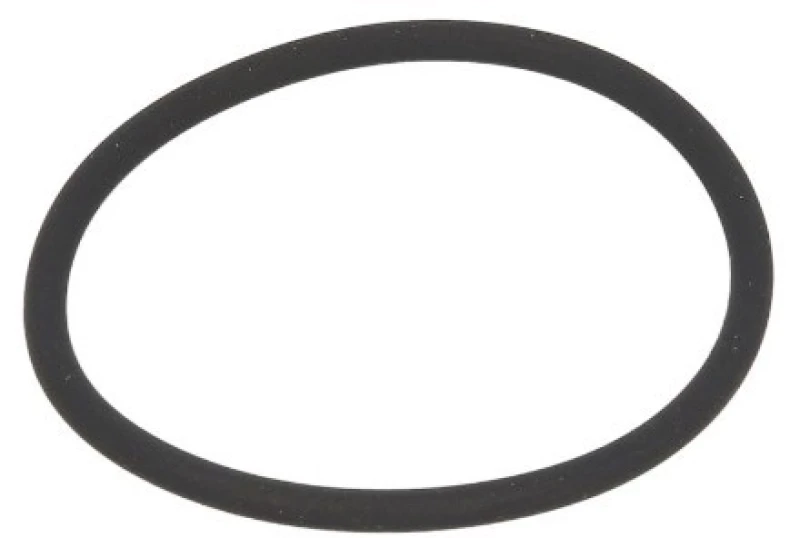 Image of IVECO 500324249 Seal Seal (2048)