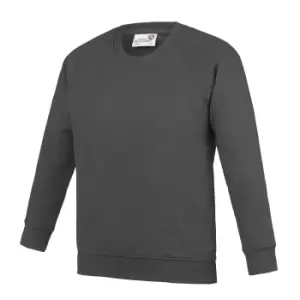 Image of AWDis Academy Childrens/Kids Crew Neck Raglan School Sweatshirt (Pack of 2) (9-10 Years) (Charcoal)