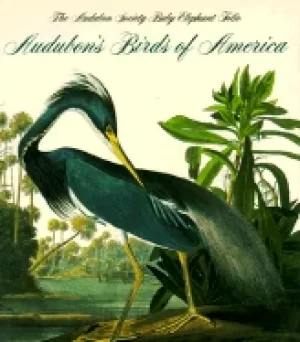 Image of audubons birds of america