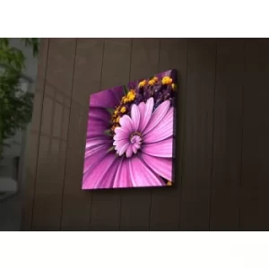 Image of 2828?ACT-43 Multicolor Decorative LED Lighted Canvas Painting