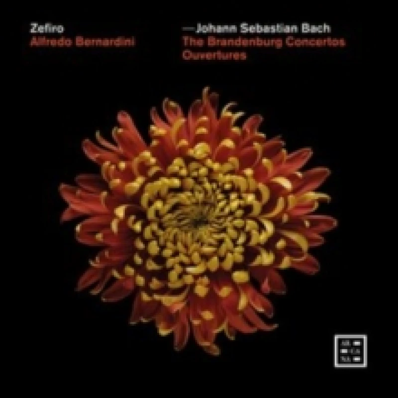 Image of Johann Sebastian Bach: The Brandenburg Concertos/Ouvertures CD / Box Set