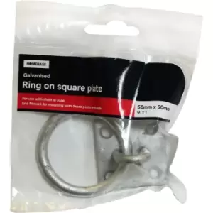 Image of Ring On Plate Galv