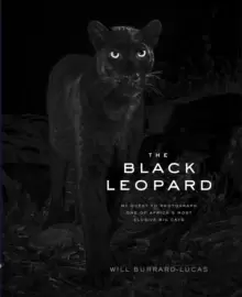 Image of The Black Leopard : My Quest to Photograph One of Africa's Most Elusive Big Cats