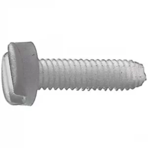 Image of Toolcraft Slotted Cheese Head Screws DIN 84 Polyamide M4 x 10mm Pa...