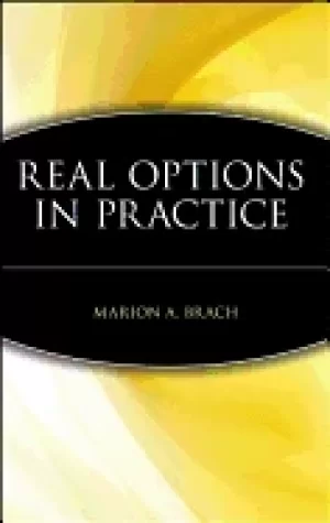 Image of real options in practice