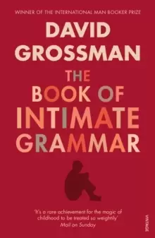 Image of The Book Of Intimate Grammar