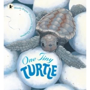 Image of One Tiny Turtle