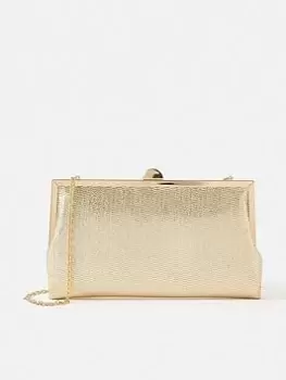 Accessorize Metallic Frame Clutch