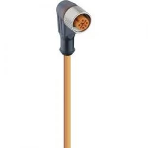 Image of Lumberg Automation 11436 RKWT 4 072 M Actuator Sensor Connection Line M2 Plug in BUSH STRAIGHT Orange