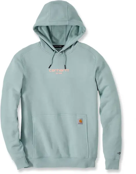 Image of Carhartt Lightweight Logo Graphic Hoodie, green, Size S