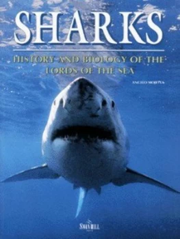 Image of Sharks by Angelo Mojetta Paperback