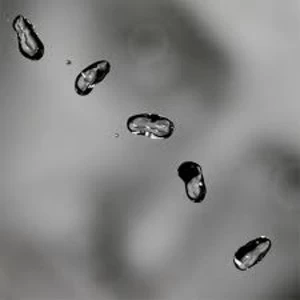 Image of Peter Gabriel - Up
