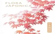 Image of Flora Japonica
