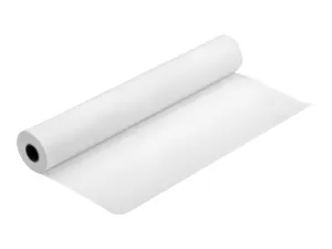 Image of Epson Proofing Paper - Resin coated semimatte proofing paper - A1 Roll