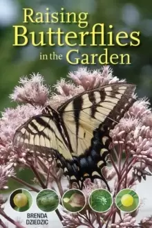 Image of Raising Butterflies in the Garden