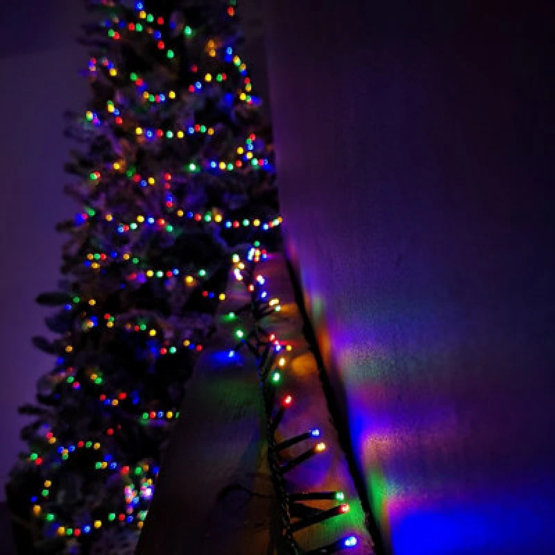 Image of Samuel Alexander 6M Treebrights Christmas Lights With 240 Leds In Multi-Coloured With Timer
