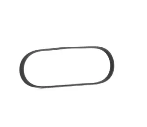 Image of RIDEX V-ribbed belt BMW,TOYOTA,NISSAN 305P0199 64557793608,38920PR3003,38920PR3004 9771222060,9771322060,117202F200,117202F205,1172053J10,1172070J00