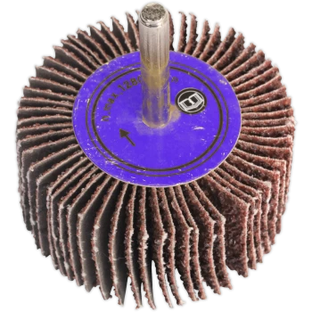 Image of Sealey Flap Wheel 25mm 10mm 80g