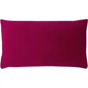Image of Sunningdale Velvet Rectangular Cushion Cerise