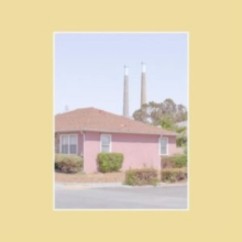 Image of The tinnitus chorus Vinyl
