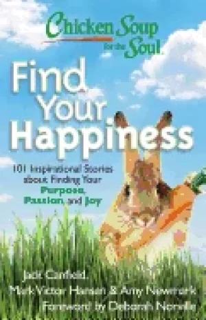 Image of chicken soup for the soul find your happiness 101 inspirational stories abo