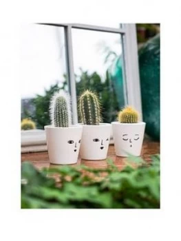 image of Ivyline Set Of 3 Cactuses In Face Print Pots