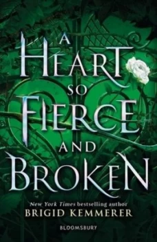 Image of A heart so fierce and broken by Brigid Kemmerer