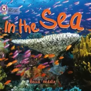 Image of In the sea - Rebecca Heddle - Paperback - Used