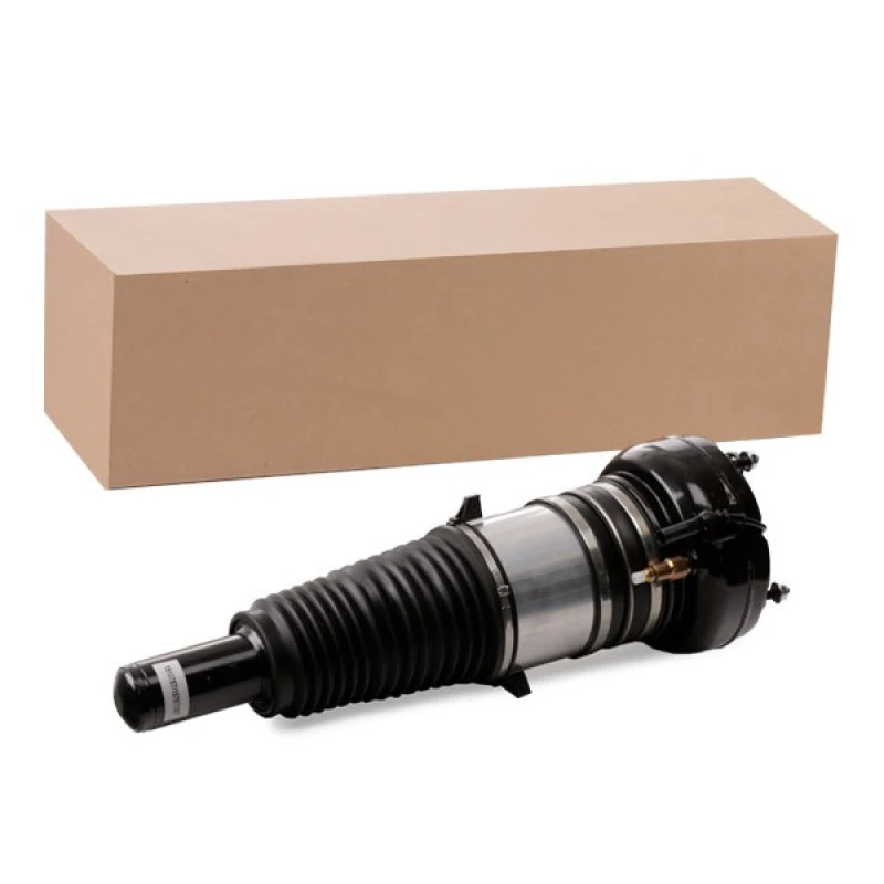 Image of RIDEX Air suspension strut RIDEX 4118A0066