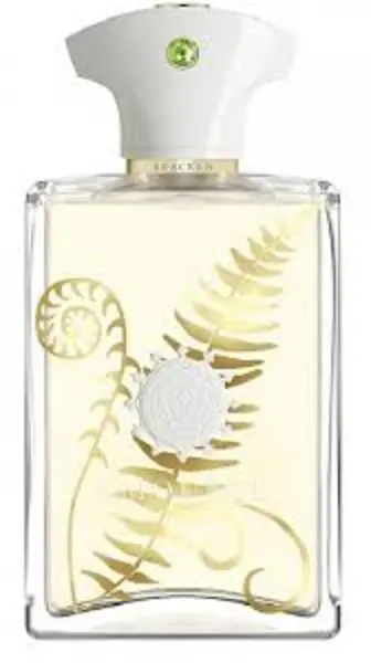 Image of Amouage Bracken Eau de Parfum For Him 100ml