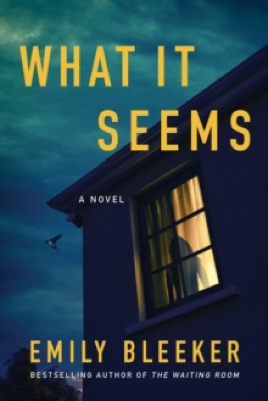 Image of What It Seems Paperback / softback
