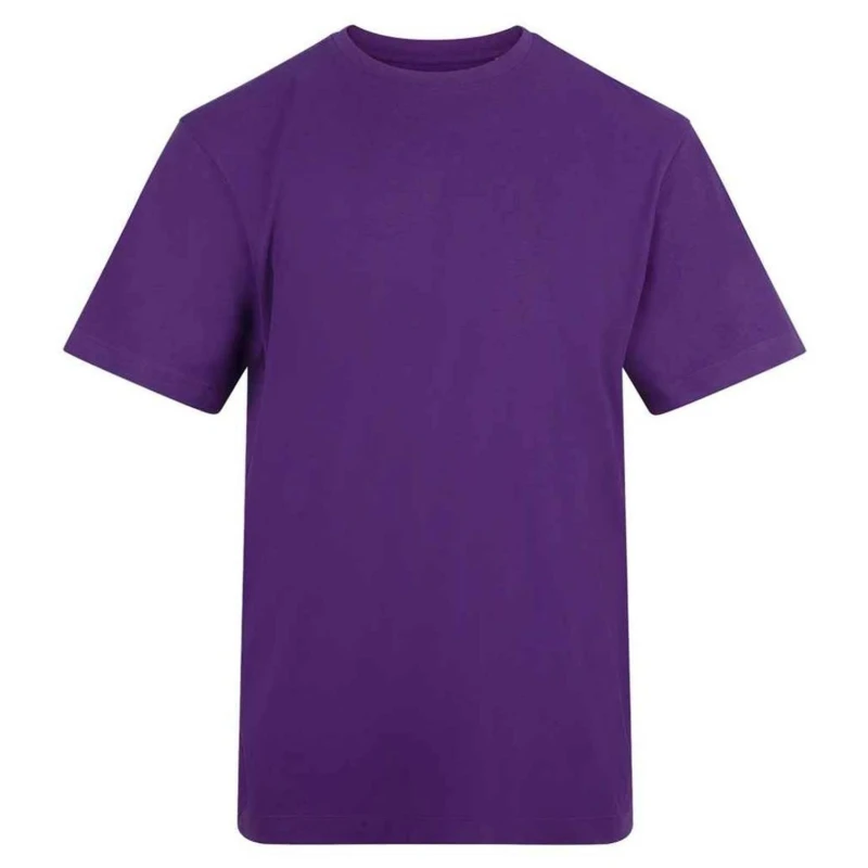 Image of AWDis AWDis Men T-Shirt in Purple Size: Small Purple S Male 5063703750684