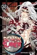 Image of demon slayer kimetsu no yaiba vol 22