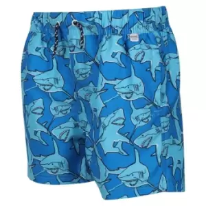 image of Regatta Skander II Swim Shorts - AquariusShrk