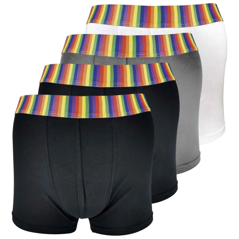 Image of Sock Snob Rainbow Boxer Shorts - XL / Rainbow