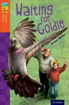 Image of Oxford Reading Tree TreeTops Fiction: Level 13: Waiting for Goldie