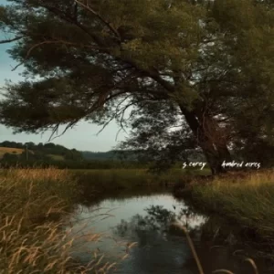 Image of Hundred Acres by S. Carey Vinyl Album