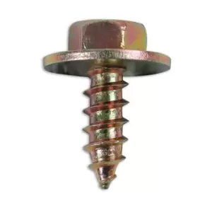 image of Metal Trim Fastener Screw with captive washer 6.3 x 19 Pk 10 Connect 36616